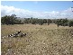 Lot 100 Kites Mount, Molong NSW 2866
