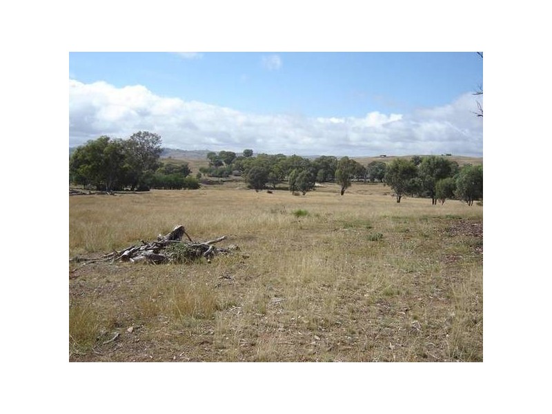 Lot 100 Kites Mount, Molong NSW 2866