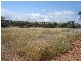 Lot 100 Kites Mount, Molong NSW 2866
