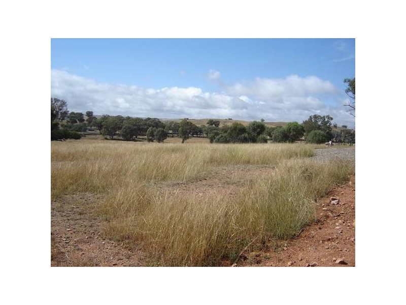 Lot 100 Kites Mount, Molong NSW 2866
