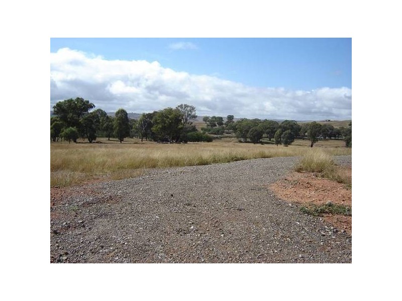 Lot 100 Kites Mount, Molong NSW 2866
