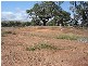 Lot 100 Kites Mount, Molong NSW 2866