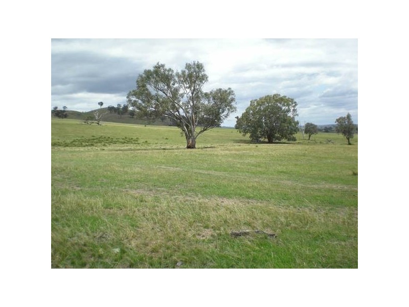 101 Yarrawonga, Molong NSW 2866