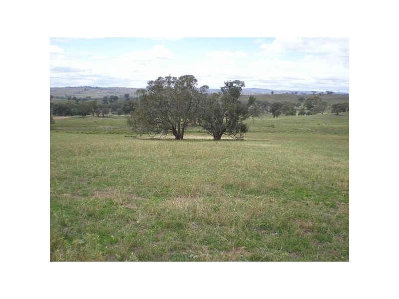 101 Yarrawonga, Molong NSW 2866