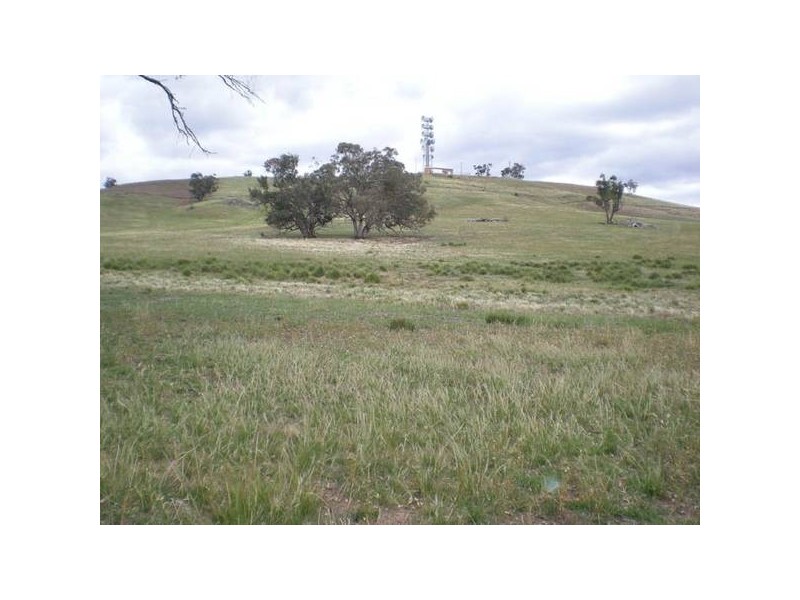 101 Yarrawonga, Molong NSW 2866