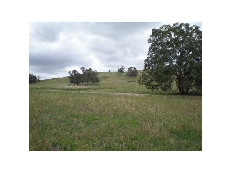 101 Yarrawonga, Molong NSW 2866