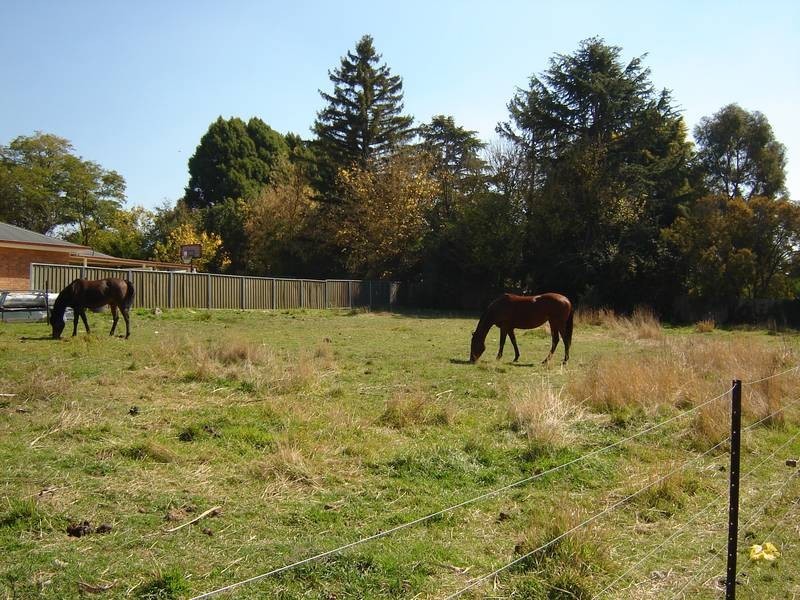 Lot 3,  Somers Place, Blayney NSW 2799