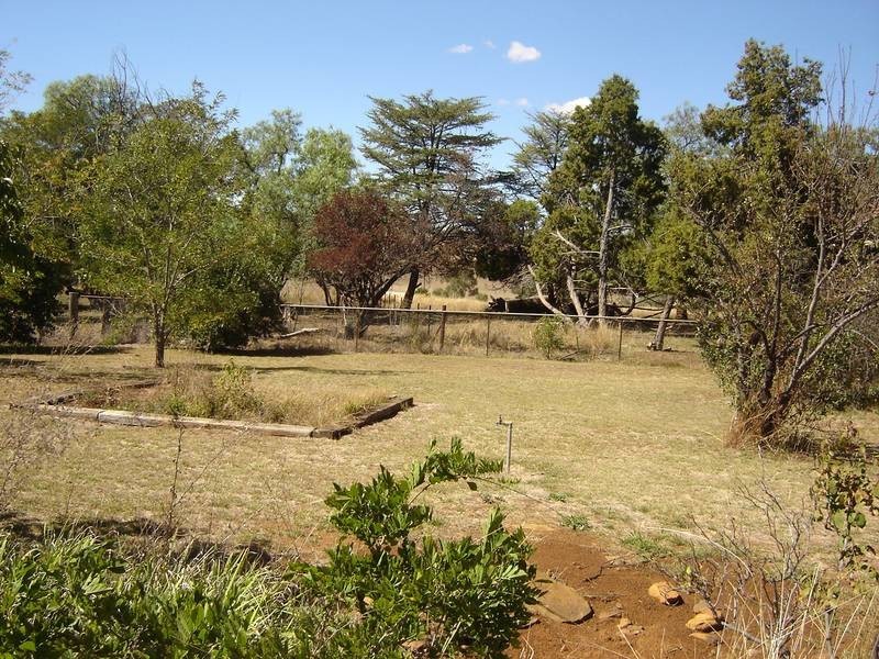 - Burrawong Road, Molong NSW 2866