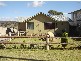 49 Phillip Street, Molong NSW 2866