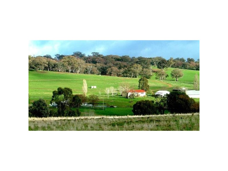 - Cowra, Blayney NSW 2799