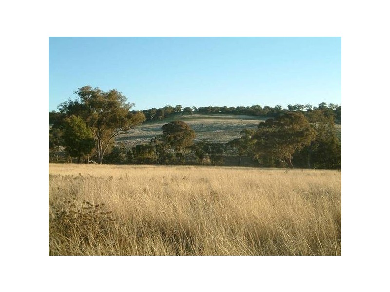- Cowra, Blayney NSW 2799