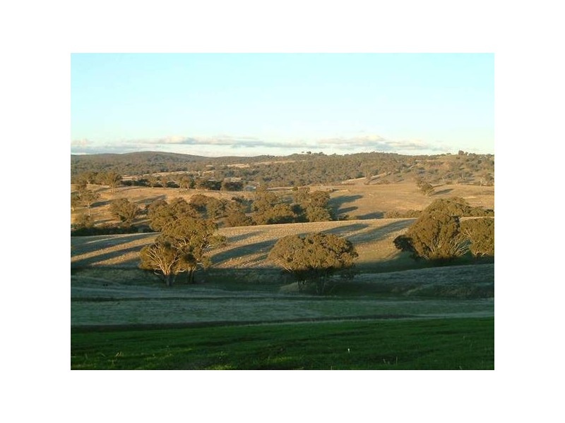 - Cowra, Blayney NSW 2799