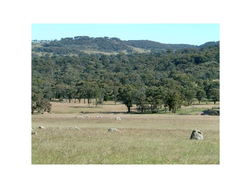- Cowra, Blayney NSW 2799