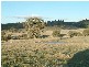 - Cowra, Blayney NSW 2799