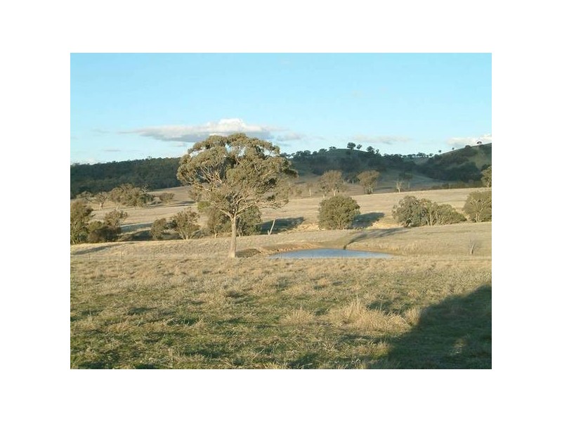 - Cowra, Blayney NSW 2799