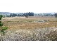 14 Carcoar Road, Millthorpe NSW 2798