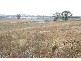 14 Carcoar Road, Millthorpe NSW 2798