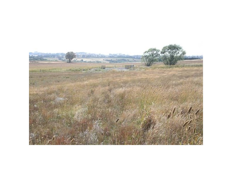 14 Carcoar Road, Millthorpe NSW 2798