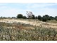14 Carcoar Road, Millthorpe NSW 2798