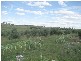 71 Tarrawingee Road, Molong NSW 2866