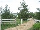 71 Tarrawingee Road, Molong NSW 2866