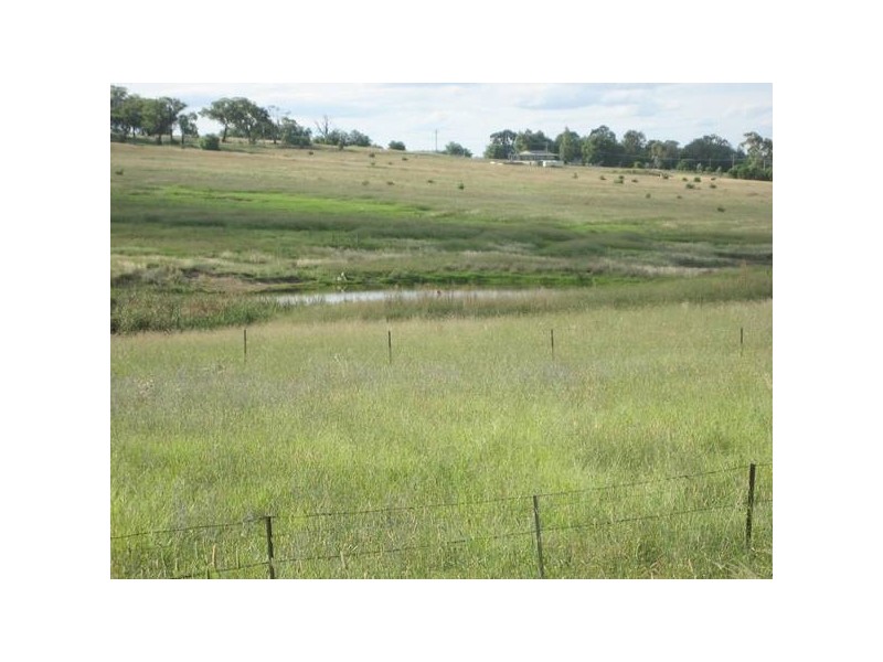 71 Tarrawingee Road, Molong NSW 2866