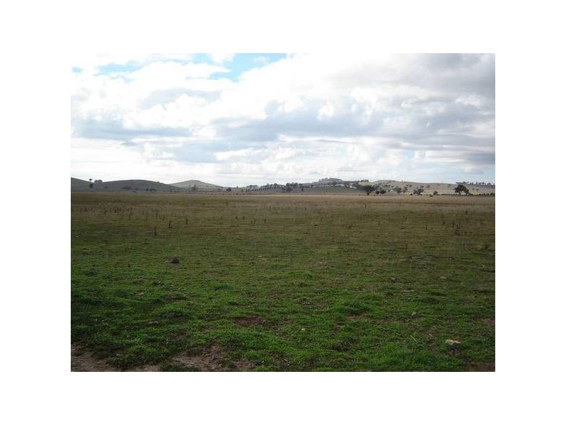785 Three Brothers Road, (Newbridge), Newbridge NSW 2795