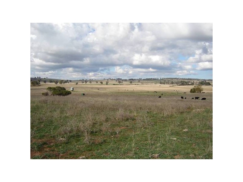 785 Three Brothers Road, (Newbridge), Newbridge NSW 2795