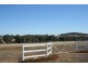 Lot 141,  Hillside Lane, Cargo NSW 2800