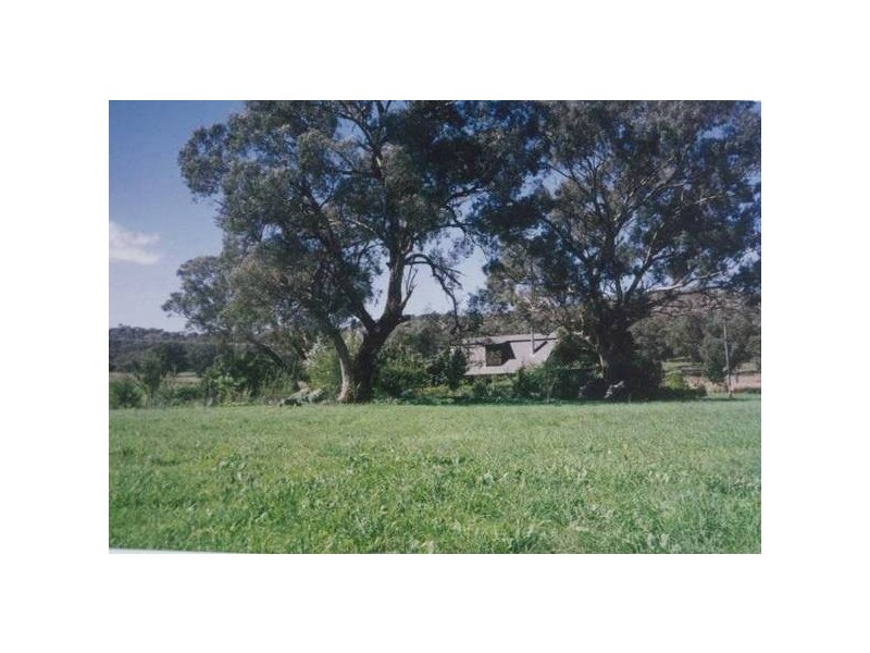 534 Larras Lee Road, Molong NSW 2866