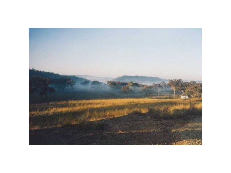 534 Larras Lee Road, Molong NSW 2866