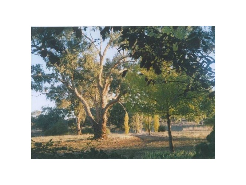 534 Larras Lee Road, Molong NSW 2866