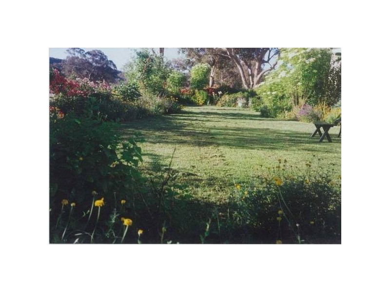 534 Larras Lee Road, Molong NSW 2866