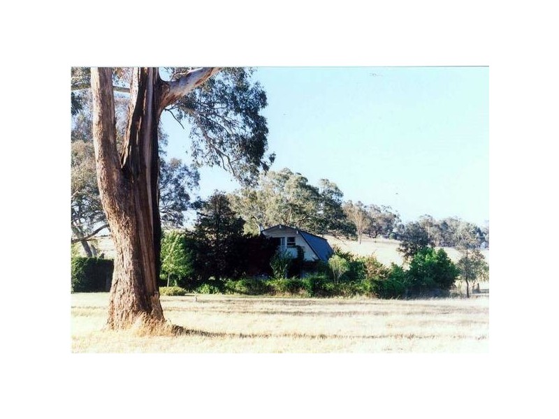 534 Larras Lee Road, Molong NSW 2866