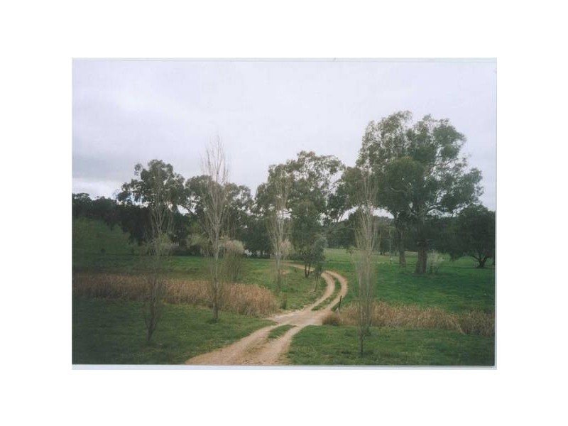 534 Larras Lee Road, Molong NSW 2866