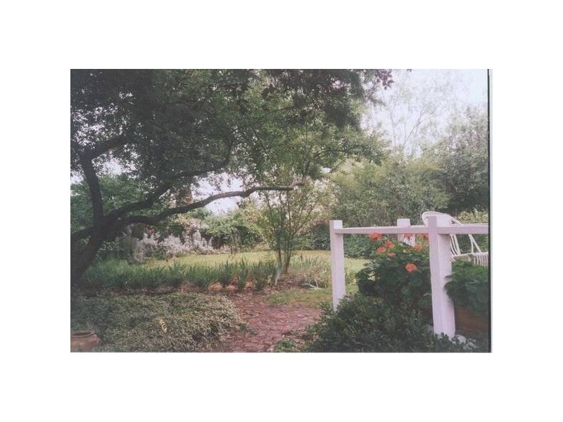 534 Larras Lee Road, Molong NSW 2866