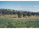 534 Larras Lee Road, Molong NSW 2866