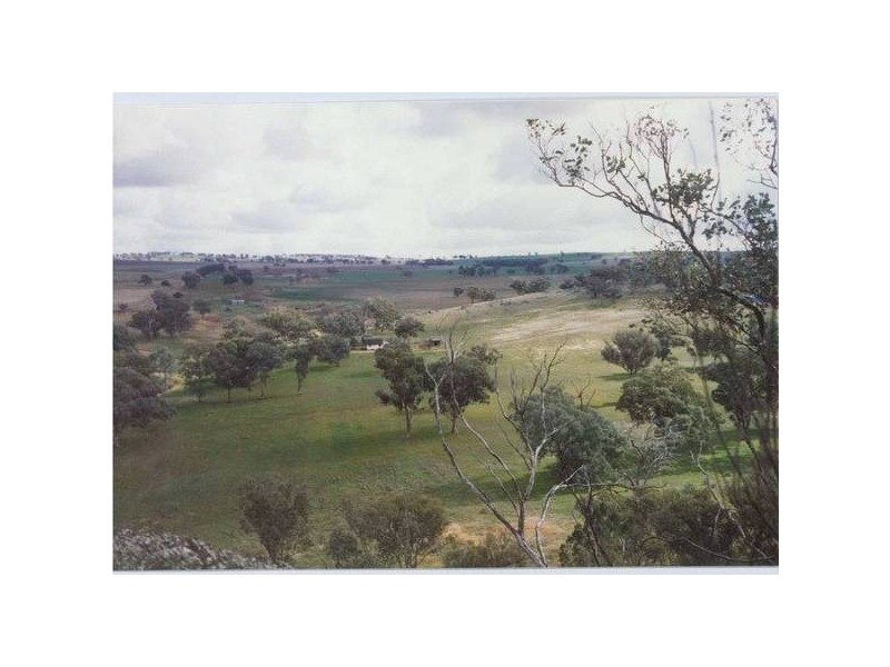 534 Larras Lee Road, Molong NSW 2866