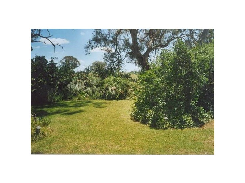 534 Larras Lee Road, Molong NSW 2866