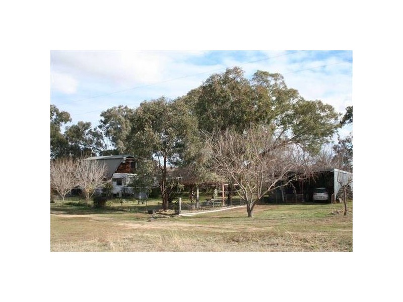 534 Larras Lee Road, Molong NSW 2866