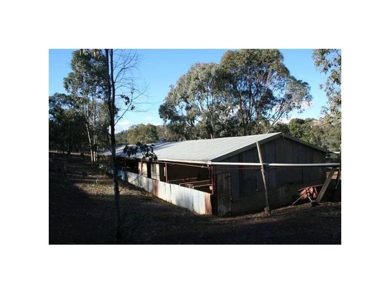 534 Larras Lee Road, Molong NSW 2866