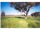 Curra Creek Road (Cumnock), Molong NSW 2866