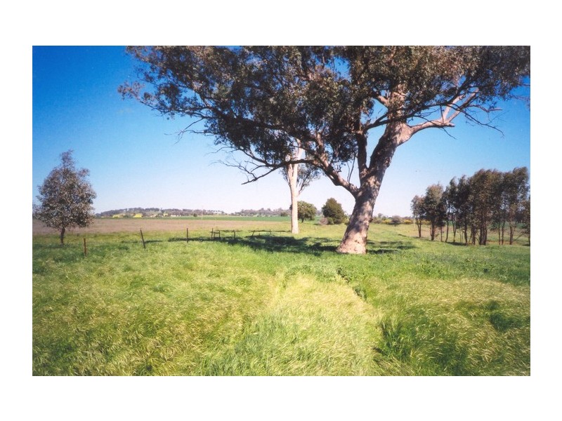 Curra Creek Road (Cumnock), Molong NSW 2866