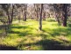 Curra Creek Road (Cumnock), Molong NSW 2866