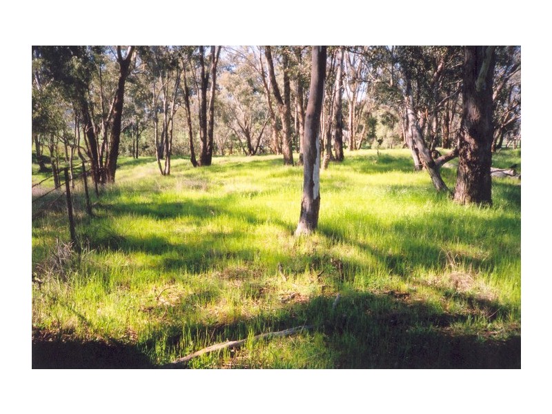 Curra Creek Road (Cumnock), Molong NSW 2866
