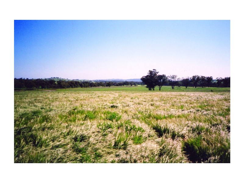 Curra Creek Road (Cumnock), Molong NSW 2866