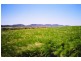 Curra Creek Road (Cumnock), Molong NSW 2866