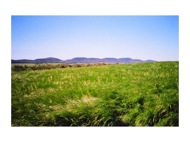 Curra Creek Road (Cumnock), Molong NSW 2866