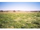 Curra Creek Road (Cumnock), Molong NSW 2866