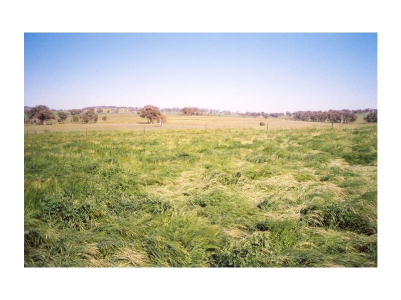 Curra Creek Road (Cumnock), Molong NSW 2866
